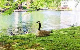Experience Sacramento With Tranquil Lakeside Views